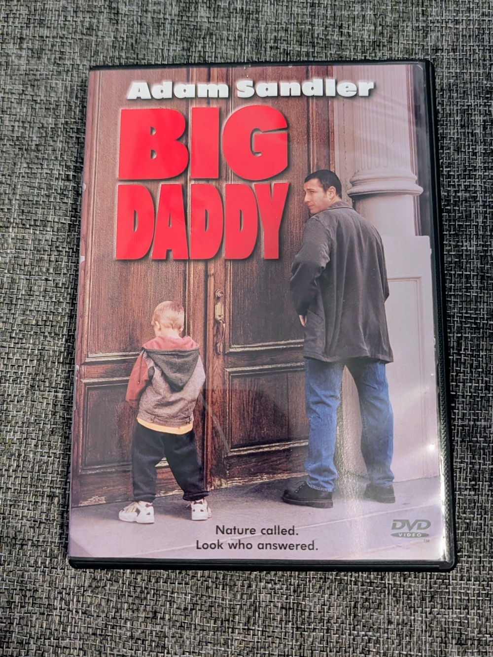 Big Daddy DVD Movie